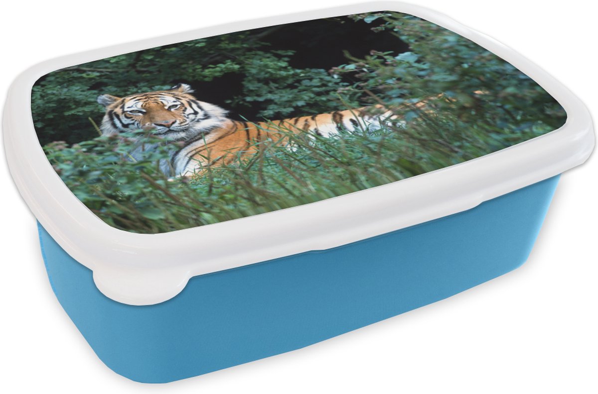 Broodtrommel Blauw - Lunchbox - Brooddoos - Tijger - Gras - Groen - 18x12x6 cm - Kinderen - Jongen