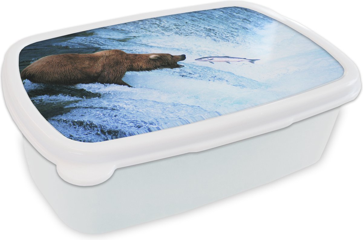 Broodtrommel Wit - Lunchbox - Brooddoos - Beer - Vis - Waterval - 18x12x6 cm - Volwassenen