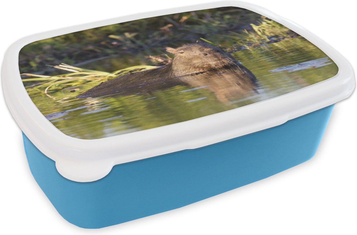 Broodtrommel Blauw - Lunchbox - Brooddoos - Capibara in het water - 18x12x6 cm - Kinderen - Jongen