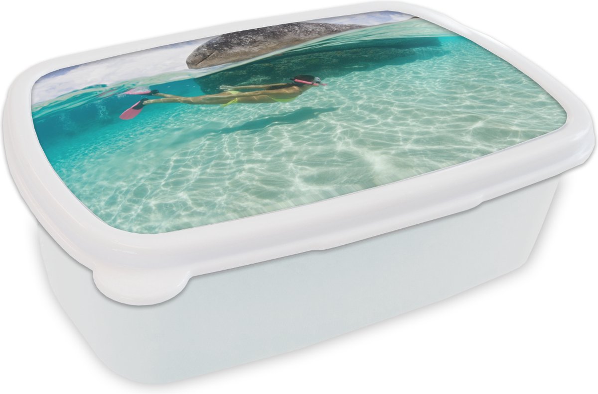 Broodtrommel Wit - Lunchbox - Brooddoos - Zee - Duiken - Turquoise - 18x12x6 cm - Volwassenen
