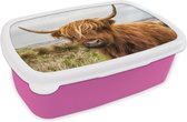 Broodtrommel Roze - Lunchbox - Brooddoos - Schotse hooglander - Koe - Duinen - 18x12x6 cm - Kinderen - Meisje