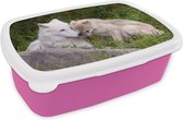 Broodtrommel Roze - Lunchbox - Brooddoos - Wolf - Pup - Gras - 18x12x6 cm - Kinderen - Meisje