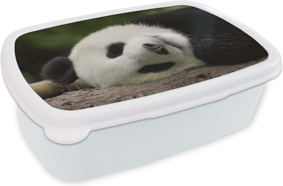 Broodtrommel Wit - Lunchbox - Brooddoos - Panda - Beren - China - 18x12x6 cm - Volwassenen
