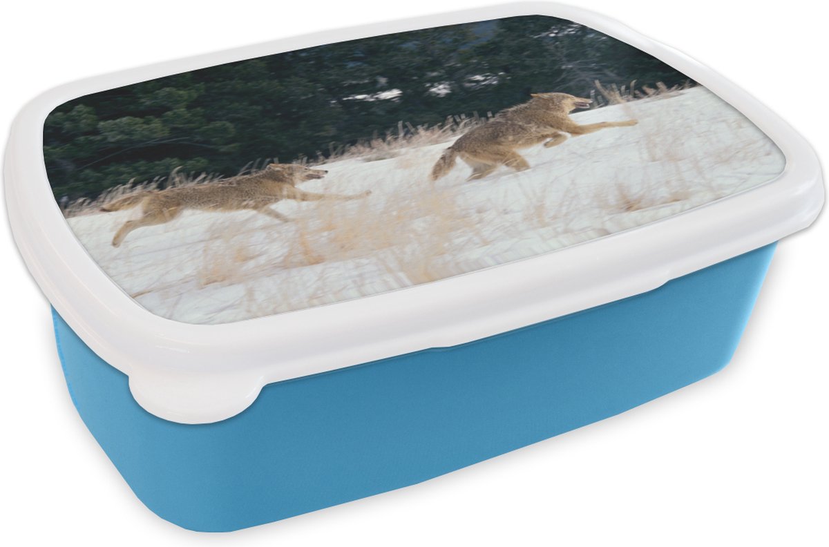 Broodtrommel Blauw - Lunchbox - Brooddoos - Wolf - Boom - Dieren - 18x12x6 cm - Kinderen - Jongen