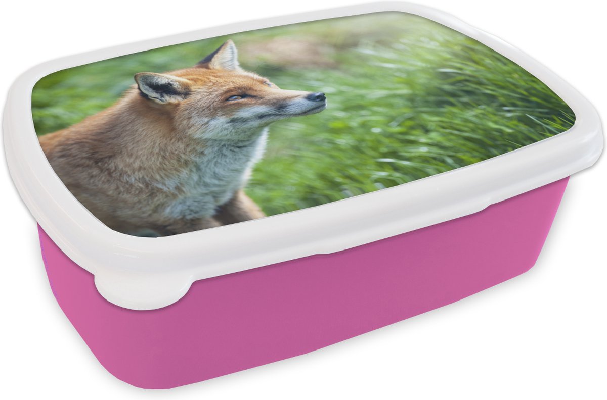 Broodtrommel Roze - Lunchbox - Brooddoos - Dieren - Gras - Vos - 18x12x6 cm - Kinderen - Meisje