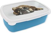 Broodtrommel Blauw - Lunchbox - Brooddoos - Hond - Huisdieren - Wit - 18x12x6 cm - Kinderen - Jongen
