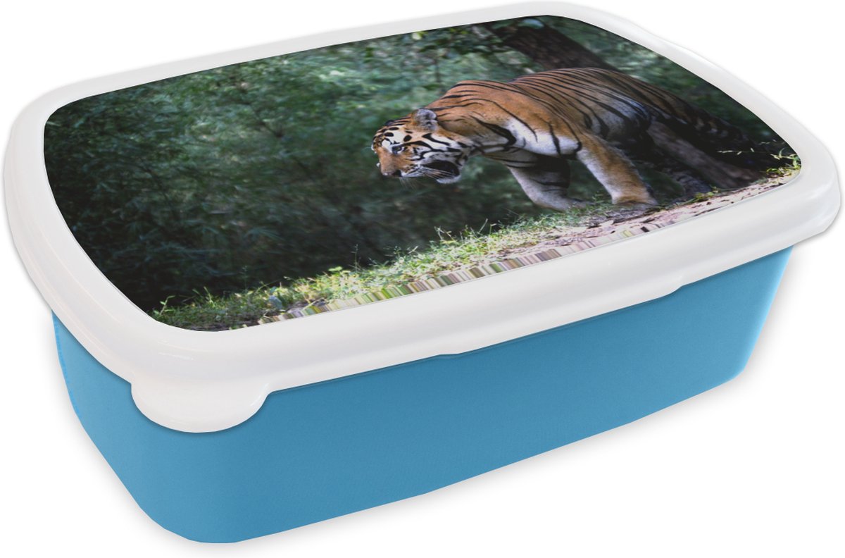 Broodtrommel Blauw - Lunchbox - Brooddoos - Tijger - Bos - Bomen - 18x12x6 cm - Kinderen - Jongen