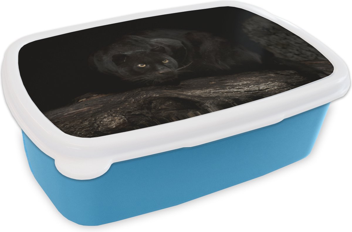 Broodtrommel Blauw - Lunchbox - Brooddoos - Panter - Bos - Ogen - 18x12x6 cm - Kinderen - Jongen