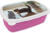 Broodtrommel Roze - Lunchbox - Brooddoos - Kat - Dier - Kitten - 18x12x6 cm - Kinderen - Meisje