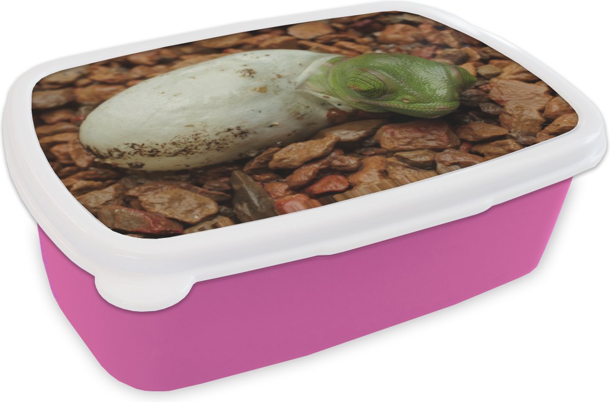 Broodtrommel Roze - Lunchbox - Brooddoos - Dier - Kameleon - Ei - 18x12x6 cm - Kinderen - Meisje