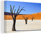 Canvas Schilderij Boompjes in woestijn - 90x60 cm - Wanddecoratie