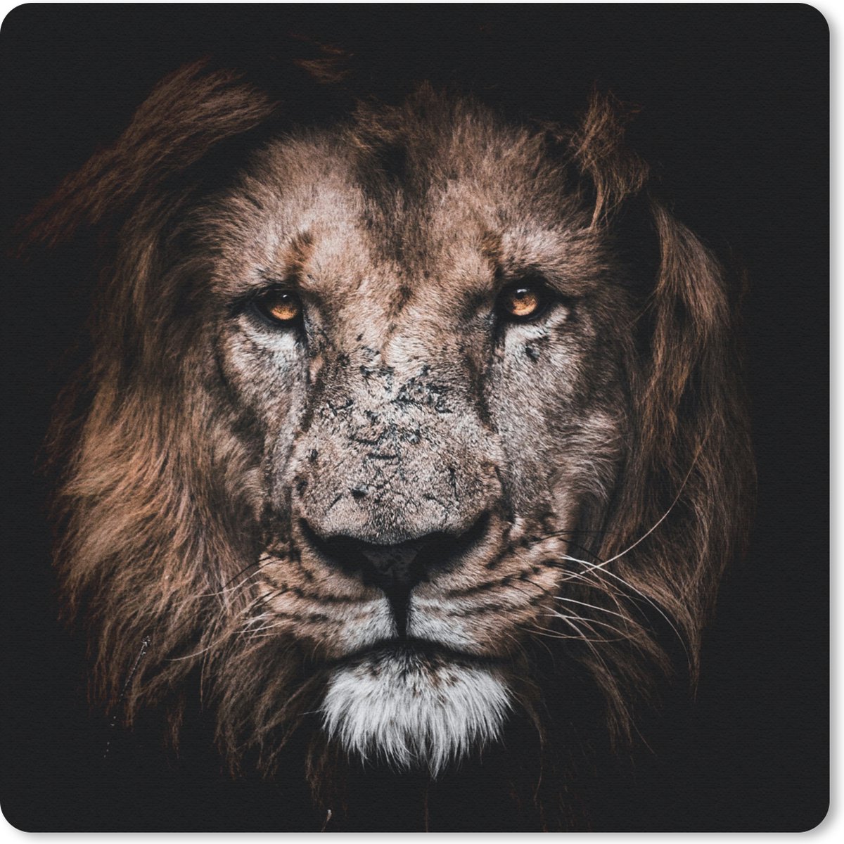 Muismat 20x20 cm - Mousepad Leeuw - Dieren - Zwart - Muismatten