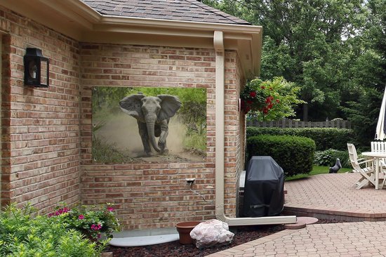 Affiche Running Elephant Garden 120x80 cm - Toile de jardin / Toile d'extérieur / Peintures d'extérieur (décoration de jardin)