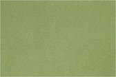 Frans karton groen A4 210 x 297 mm 160 gram
