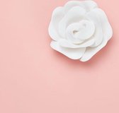 Rose Creatief Papier Snijden Schieten Props Bloemen Papercut Sieraden Cosmetica Achtergrond Foto Fotografie Props (Wit)