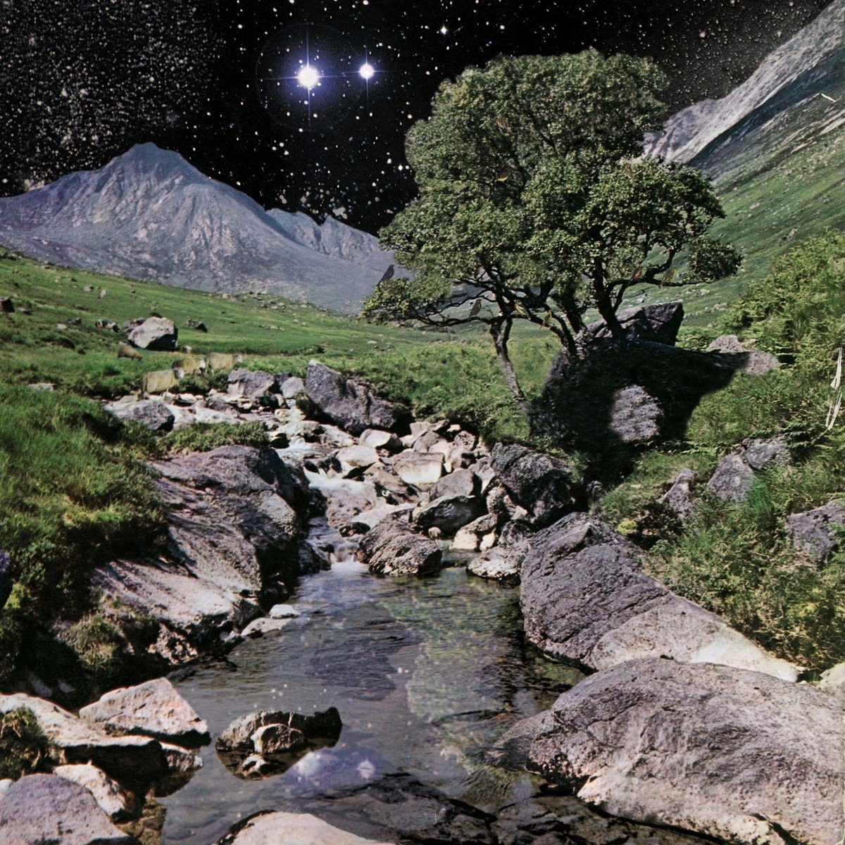 The Beta Band - The Beta Band (2 CD)