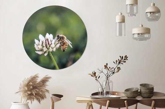 WallCircle - Wandcirkel - Muurcirkel - Bij - Insecten - Bloem - Aluminium - Dibond - ⌀ 120 cm - Binnen en Buiten XXL