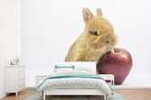 Behang - Fotobehang Konijn - Baby - Appel - Breedte 390 cm x hoogte 260 cm