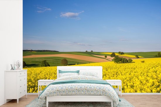 Papier Peint - Papier Papier peint photo Printemps - Fleurs - Jaune - Largeur 420 cm x Hauteur 280 cm