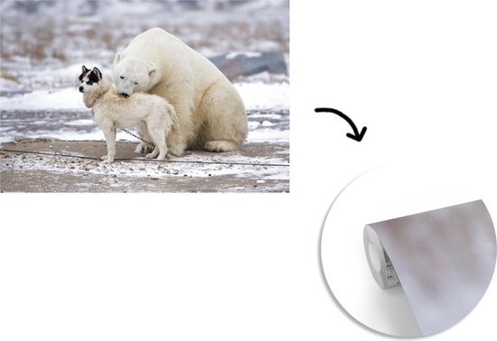 Amitié spéciale entre chien et ours polaire 360x240 cm