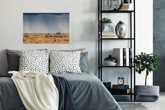 Affiche Groupe de zèbres en liberté - 90x60 cm