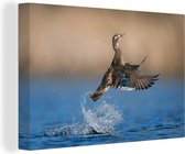 Canvas schilderij 180x120 cm - Wanddecoratie Eend - Vleugel - Water - Muurdecoratie woonkamer - Slaapkamer decoratie - Kamer accessoires - Schilderijen