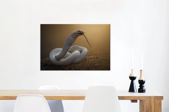 Serpent Witte mange une proie 90x60 cm - Tirage photo sur toile (Décoration murale salon / chambre) / Animaux sauvages Peintures sur toile
