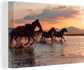 Canvas Schilderij Paarden ten water in Turkije - 60x40 cm - Wanddecoratie
