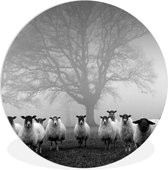 WallCircle - Wandcirkel ⌀ 30 - Kudde schapen in de mist - zwart wit - Ronde schilderijen woonkamer - Wandbord rond - Muurdecoratie cirkel - Kamer decoratie binnen - Wanddecoratie muurcirkel - Woonaccessoires