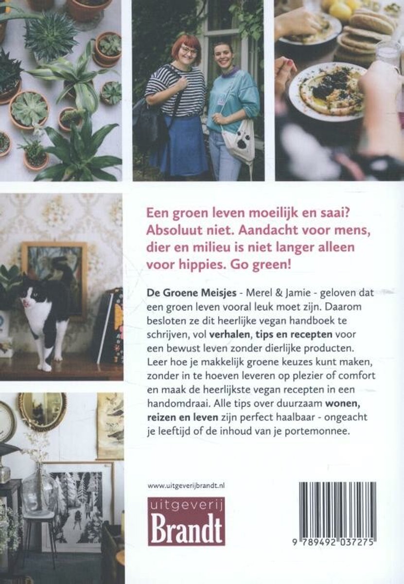 De groene meisjes - back cover