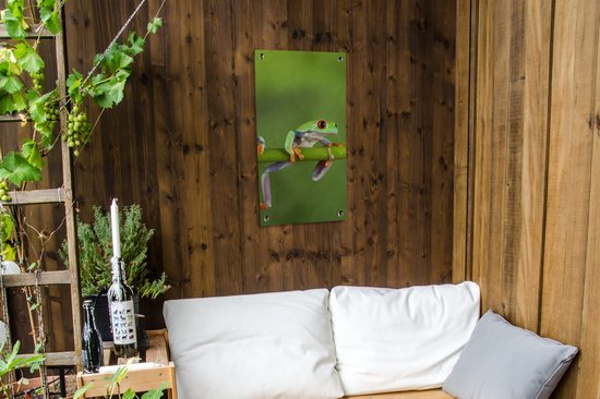 Poster de jardin Grenouilles - Branche - Vert - 40x80 cm - Décoration murale Outdoor - Poster jardin - Toile jardin - Poster clôture - Tableau jardin