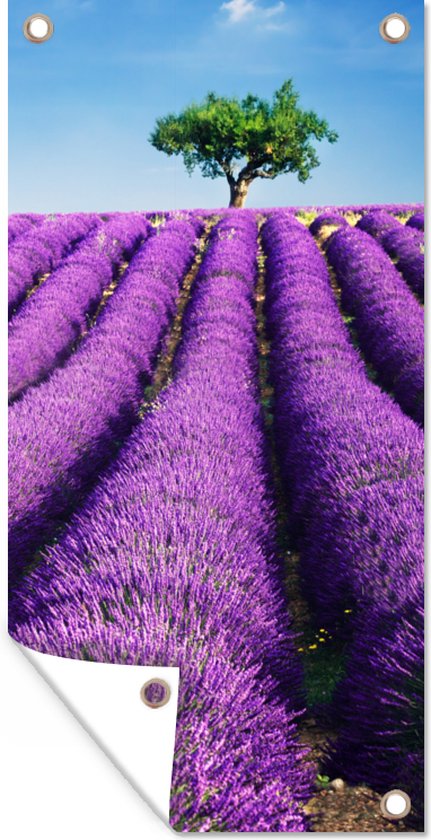 Affiche de jardin Champ de lavande violette en fleurs par une journée  ensoleillée -... | bol.com