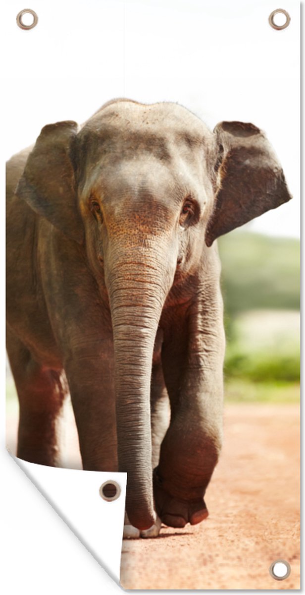 Décoration murale d'extérieur Eléphant qui marche Décoration murale
