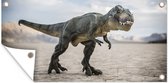 Schuttingposter Dinosaurus - Zand - Speelgoed - 200x100 cm - Tuindoek