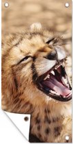 Schuttingposter Cheetah - Dier - Close up - 100x200 cm - Tuindoek