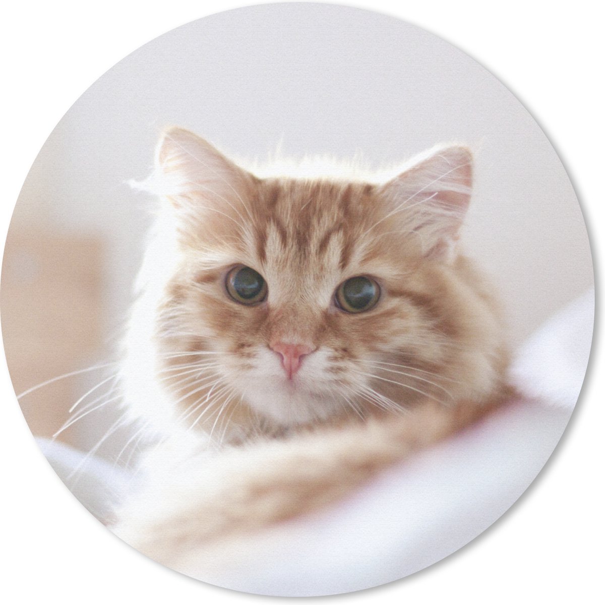 Muismat rond 50x50 cm - Mousepad Kat - Rood - Bed - Meisjes - Kinderen - Jongens - Kids - Ronde muismatten