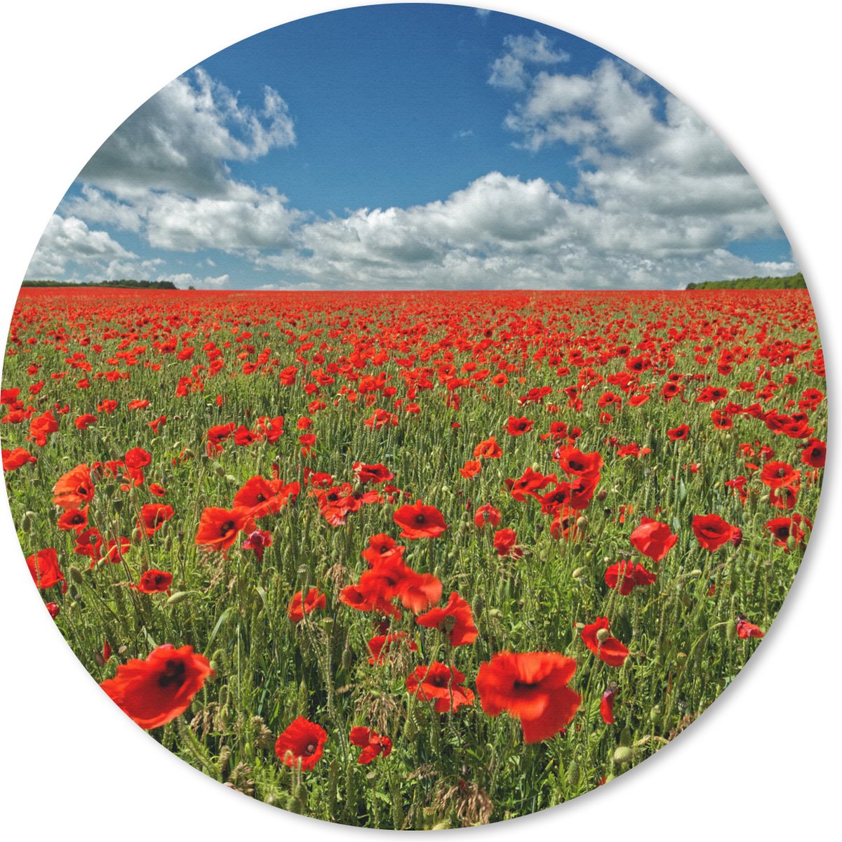 Muismat - Mousepad - Rond - Spierwitte wolken boven een klaprozenveld - 20x20 cm - Ronde muismat