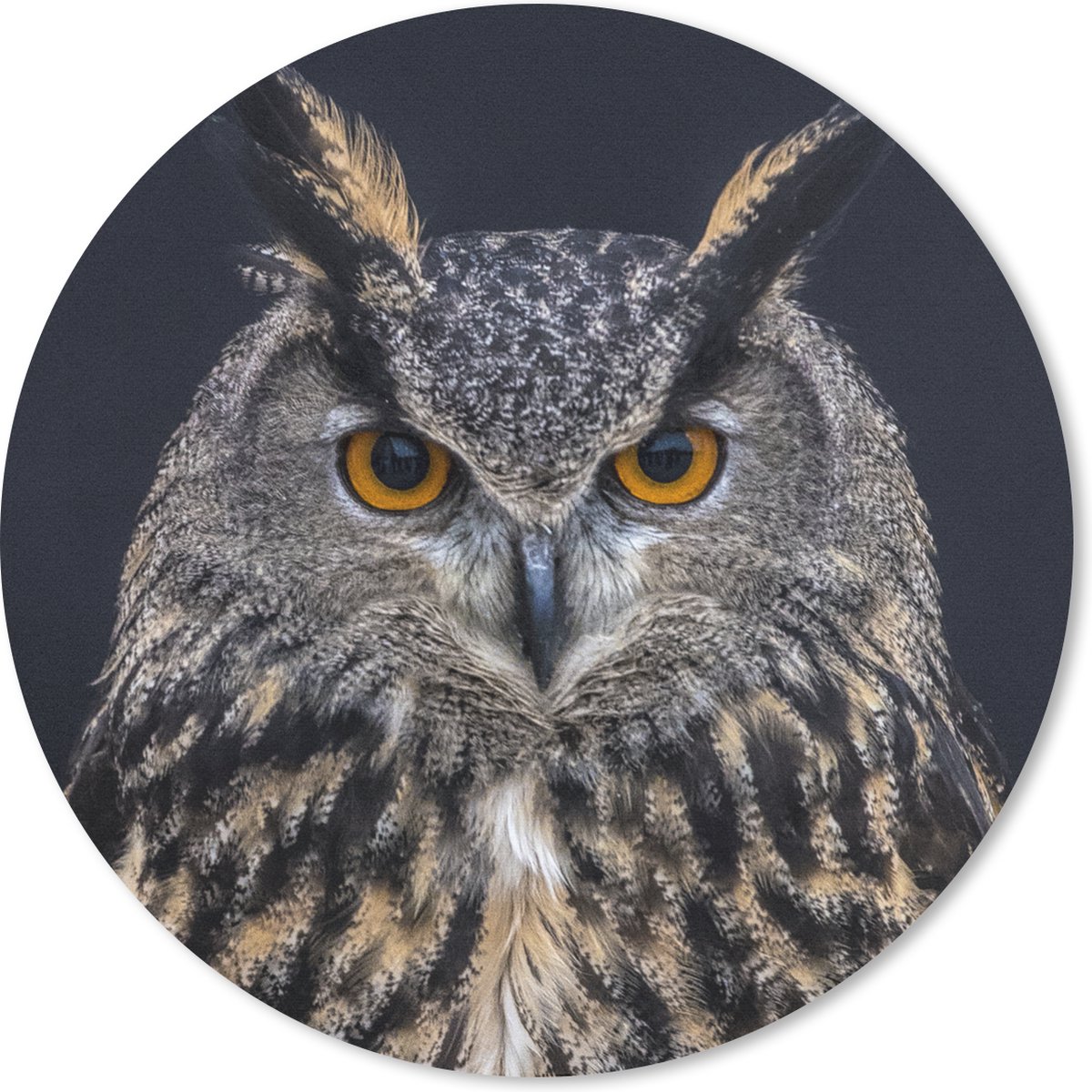 Muismat rond 20x20 cm - Mousepad Oehoe portret - Ronde muismatten