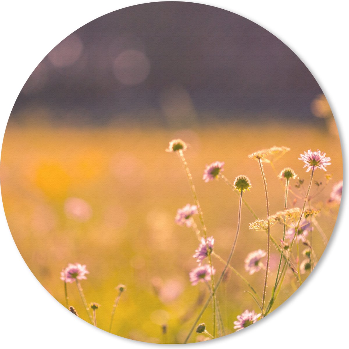 Muismat - Mousepad - Rond - Bloemen - Licht - Roze - 40x40 cm - Ronde muismat