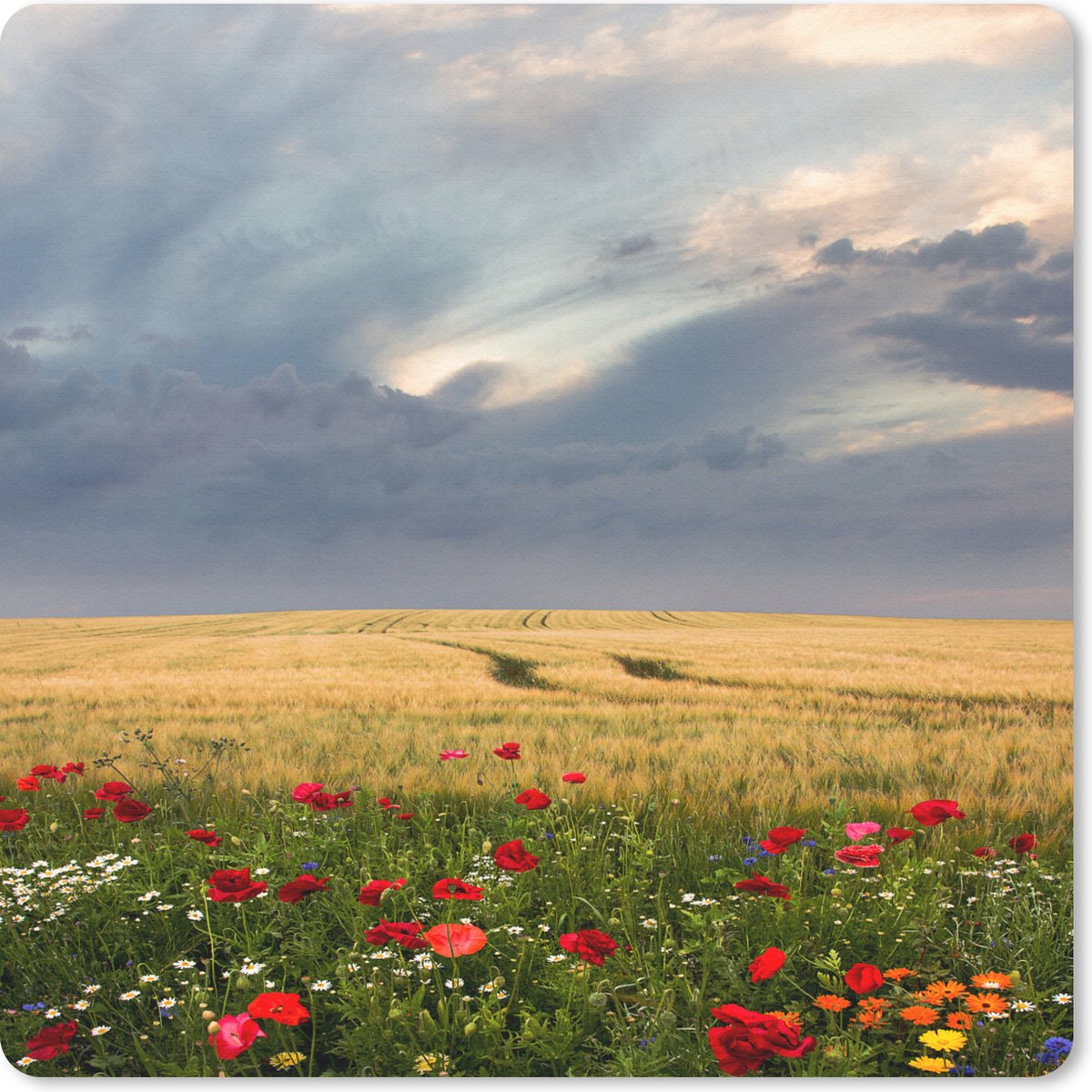 Muismat 30x30 cm - Mousepad Bloemen - Tarwe - Wolken - Muismatten