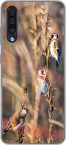 Geschikt voor Samsung Galaxy A50 hoesje - Vogels - Takken - Bos - Siliconen Telefoonhoesje