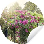 WallCircle - Muurstickers - Behangcirkel - Mooie roze rozen groeien als planten in de wilde natuur - ⌀ 120 cm - Muurcirkel - Zelfklevend - Ronde Behangsticker XXL