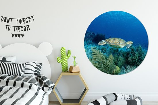 WallCircle - Peinture - Tortue De Mer Verte Bonaire Et - Multicolore - 140 X 140 Cm