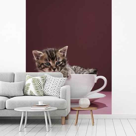 Papier peint photo vinyle - Un chaton dans une tasse avec une soucoupe largeur 190 cm x hauteur 260 cm - Tirage photo sur papier peint (disponible en 7 tailles)
