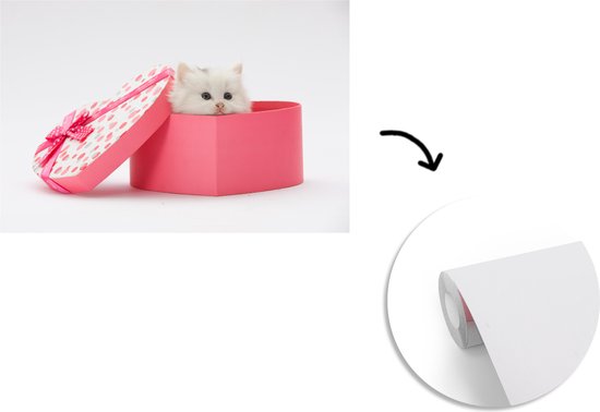 Papier peint photo vinyle - Un gros plan d'un chaton d'un présent largeur 450 cm x hauteur 300 cm - Tirage photo sur papier peint (disponible en 7 tailles)