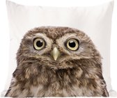 Animaux - Chouette - Wit