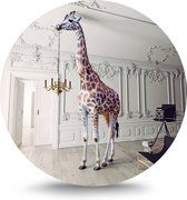 Maison de France - Dibond  Fotoshoot giraffe - wit dibond / rond - 100 cm
