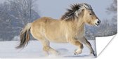 Poster Fjord paard dat door de sneeuw rent - 160x80 cm
