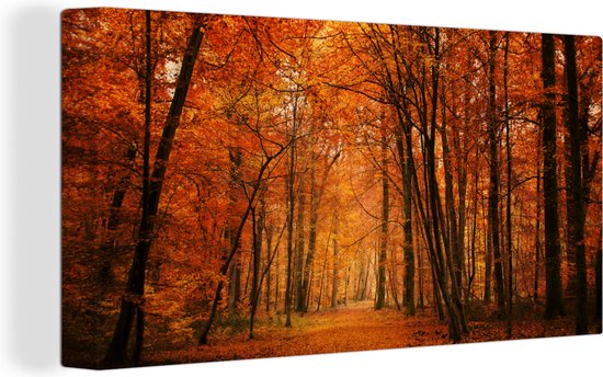 Toile Peinture Automne - Rouge - Forêt - 160x80 cm - Décoration murale