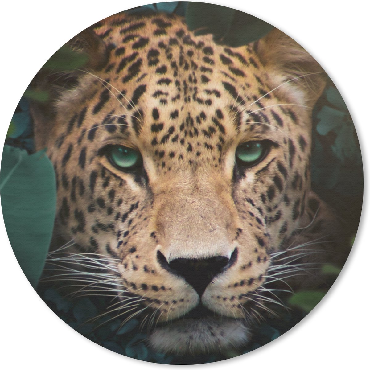Muismat rond 30x30 cm - Mousepad Jungle - Panter - Wilde dieren - Ronde muismatten